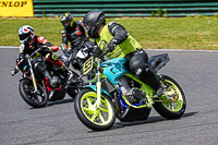 enduro-digital-images;event-digital-images;eventdigitalimages;mallory-park;mallory-park-photographs;mallory-park-trackday;mallory-park-trackday-photographs;no-limits-trackdays;peter-wileman-photography;racing-digital-images;trackday-digital-images;trackday-photos